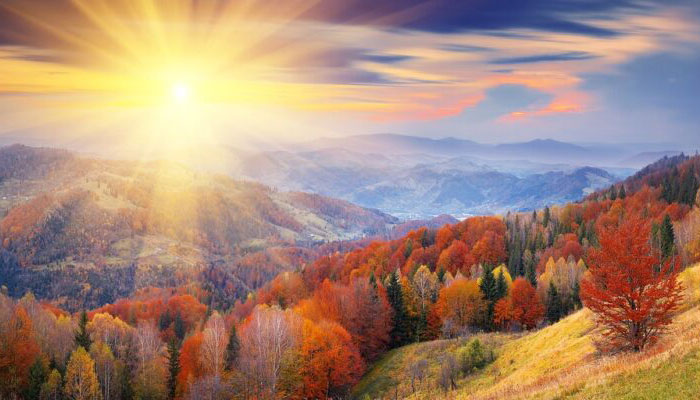 FotoNEWS_700x400_3